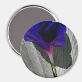 Aimant Assez Fleur de Volubilis Rose-Violet (Recto/Verso)