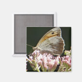 Aimant Assez gros papillon (Recto/Verso)