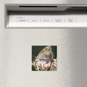 Aimant Assez gros papillon (In Situ (Lave-vaisselle))