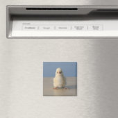 Aimant Assis bébé poulet jaune, 3 jours (In Situ (Lave-vaisselle))