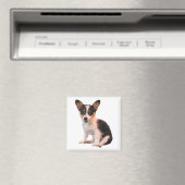 Aimant Assis Cardigan Welsh Corgi Puppy (In Situ (Lave-vaisselle))