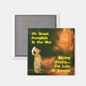 Aimant Assis Joli pour beaucoup de soins (Recto/Verso)