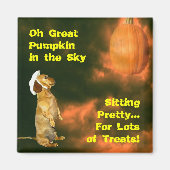 Aimant Assis Joli pour beaucoup de soins (Devant)