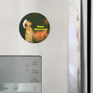 Aimant Assis Joli pour beaucoup de soins