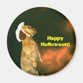 Aimant Assis Joli pour beaucoup de soins (Devant)