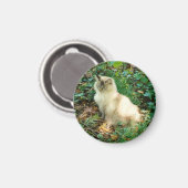 Aimant Assis jolie chatte (Recto/Verso)