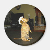 Aimant Assis jolie ou regarder la TV Dachshund (Devant)