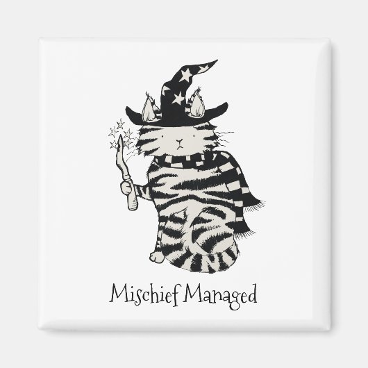 Aimant Assistant Gestion de mauvais chef Chat Baguette ma (Devant)