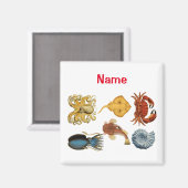 Aimant Association d'apaces de mer uniques Thunder_Cove (Recto/Verso)