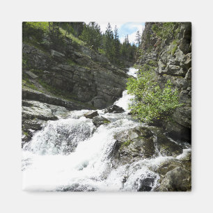 Aimant Aster Creek à Glacier National Park