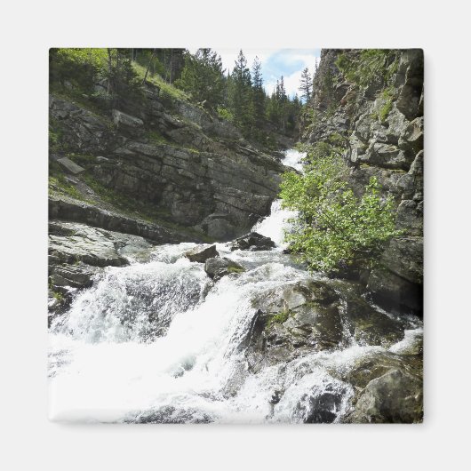 Aimant Aster Creek à Glacier National Park (Devant)