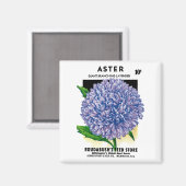 Aimant Aster Vintage Seed Packet (Recto/Verso)