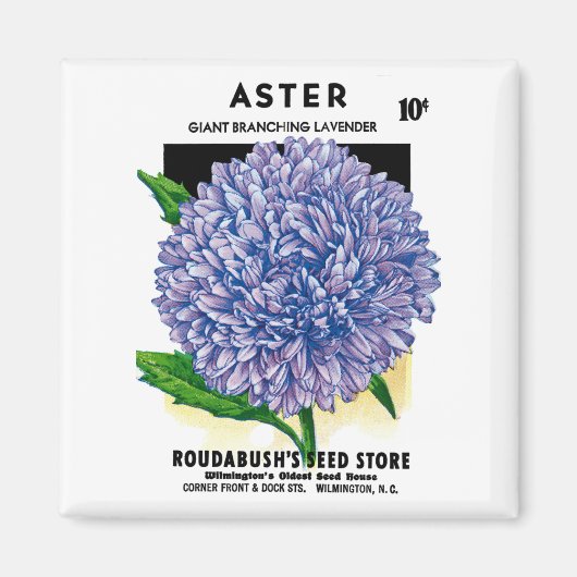 Aimant Aster Vintage Seed Packet (Devant)