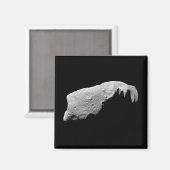 Aimant Astéroïde 243 Ida (Recto/Verso)