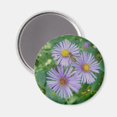 Aimant Asters pourpres avec Abeille mouche (Recto/Verso)