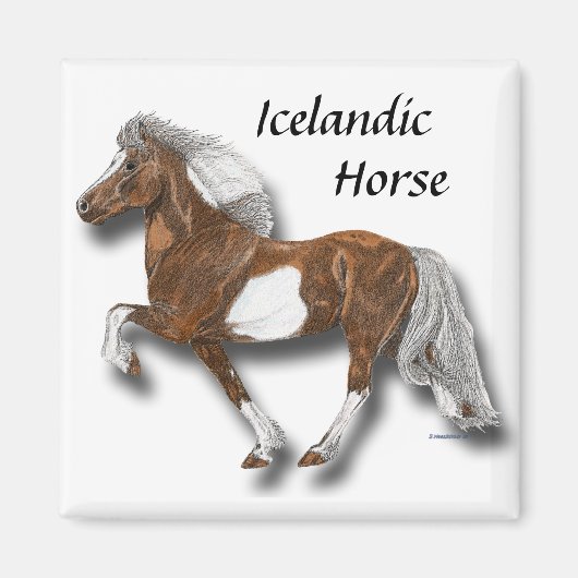 Aimant Astrid (Devant)