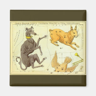 Aimant Astronomie Vintage, Carte Céleste du Ciel Chartes 