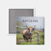 Aimant Asturias Mountain Cow Travel (Recto/Verso)
