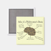 Aimant Atlas du cerveau d'un phlébotomiste (Recto/Verso)