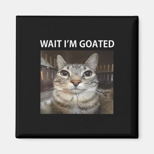 Aimant Attends, Je Suis Allé Mème De Chat Silly (Devant)