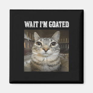 Aimant Attends, Je Suis Chat Humour Mème