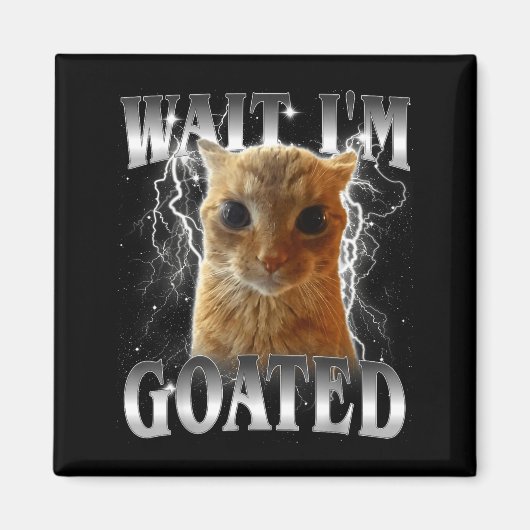 Aimant Attends je suis goaté mème drôle de chat qui fixe (Devant)