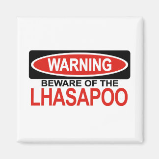 Aimant Attention À Lhasapoo