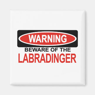 Aimant Attention Au Labradinger