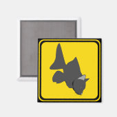 Aimant Attention : Catfish Xing ! (Recto/Verso)