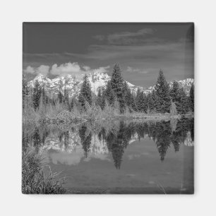 Aimant Atterrissage de Schwabacher