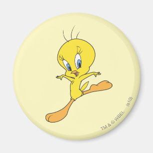 Aimant Atterrissage de TWEETY™
