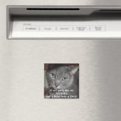 Aimant Attitude d'humour chat gris bleu russe (In Situ (Lave-vaisselle))