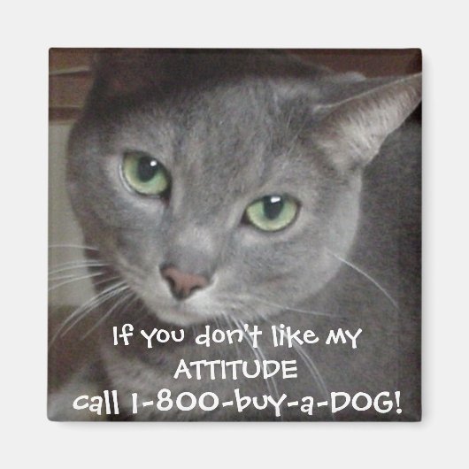 Aimant Attitude d'humour chat gris bleu russe (Devant)