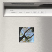 Aimant attitude positive (In Situ (Lave-vaisselle))