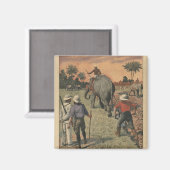 Aimant Au Congo français, l'éléphant s'est entraîné à lab (Recto/Verso)