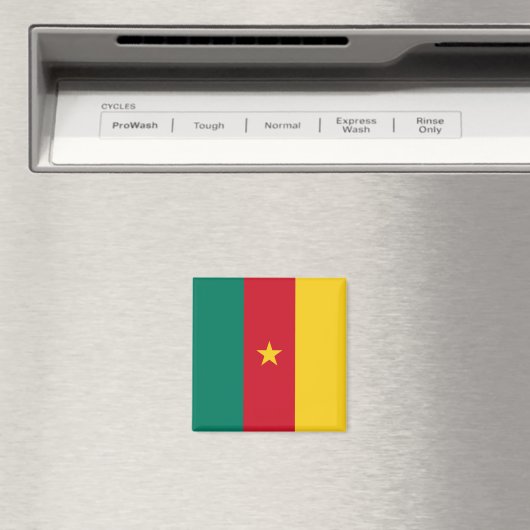 Aimant au drapeau du Cameroun (In Situ (Lave-vaisselle))