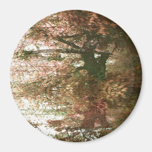 Aimant Au fond de la forêt...