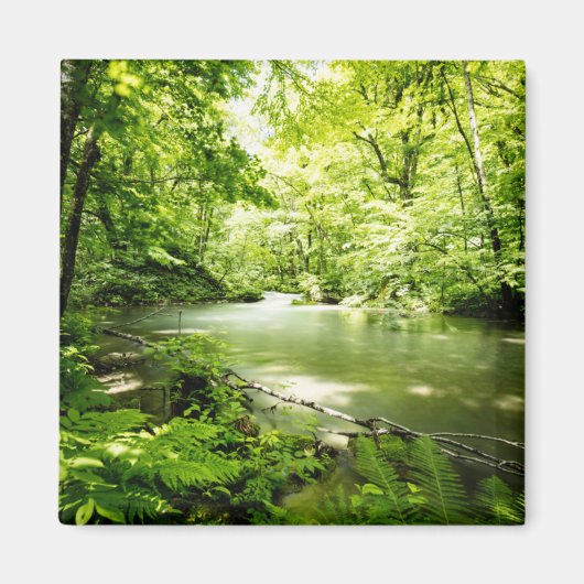 Aimant Au fond de la forêt (Devant)