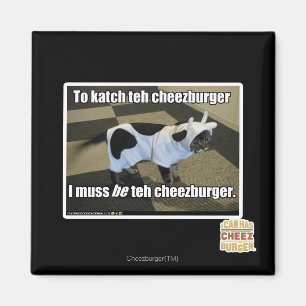 Aimant Au katch le cheezburger