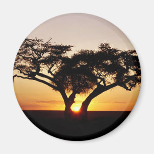 AIMANT AU KENYA