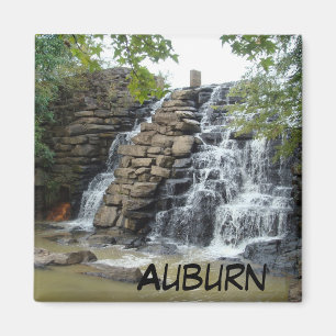 Aimant auburn de photo de cascade de parc d'état