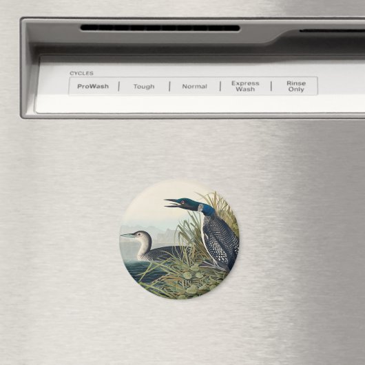 Aimant Audubon Bird Loon Diver Classic (In Situ (Lave-vaisselle))