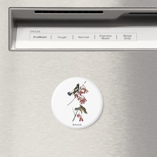 Aimant Audubon Bobolink (In Situ (Lave-vaisselle))