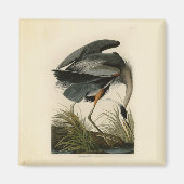 Aimant Audubon Great Blue Heron Marsh Bird (Devant)