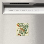 Aimant Audubon Throsé de colibri (In Situ (Lave-vaisselle))