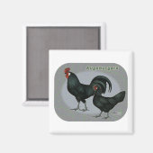 Aimant Augsburger Fowl (Recto/Verso)