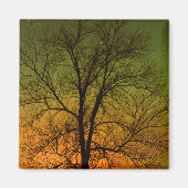 Aimant Aurora Borealis & Cottonwood Tree (Devant)