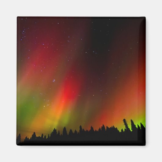 Aimant Aurora Borealis et arbres (Devant)
