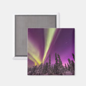 Aimant Aurora Borealis Northern Lights Fairbanks Alaska (Recto/Verso)