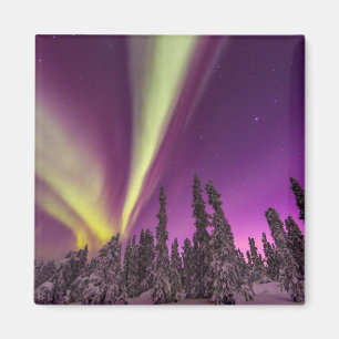 Aimant Aurore Boréale Lumières du Nord Fairbanks Alaska